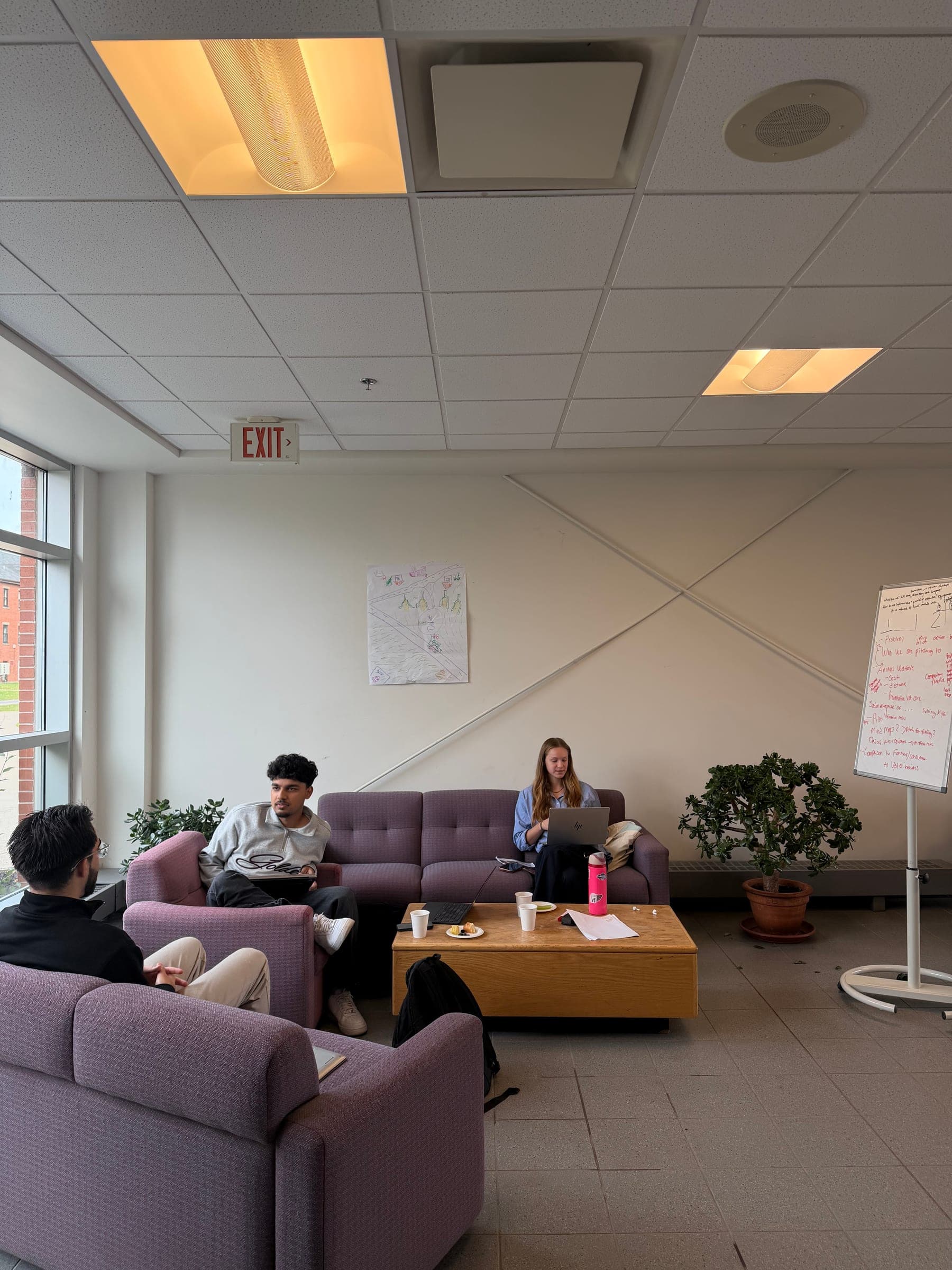 Members of the Rural Reach team working together during the hackathon